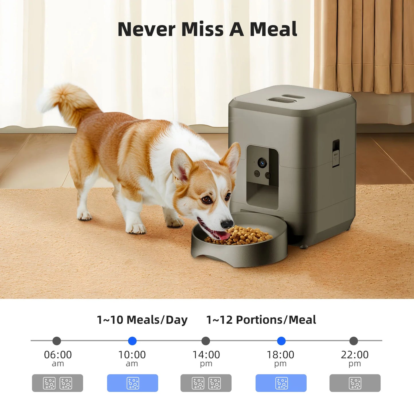 FurEver Finds Automatic Pet Feeder